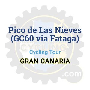 Pico de Las Nieves (GC60 via Fataga) | Cycling Tour