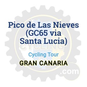 Pico de Las Nieves (GC65 via Santa Lucia) | Cycling Tour