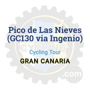 Pico de Las Nieves (GC130 via Ingenio) | Cycling Tour