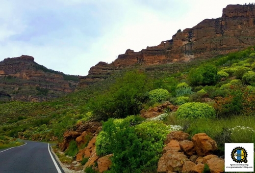 Gran Canaria Cycling green